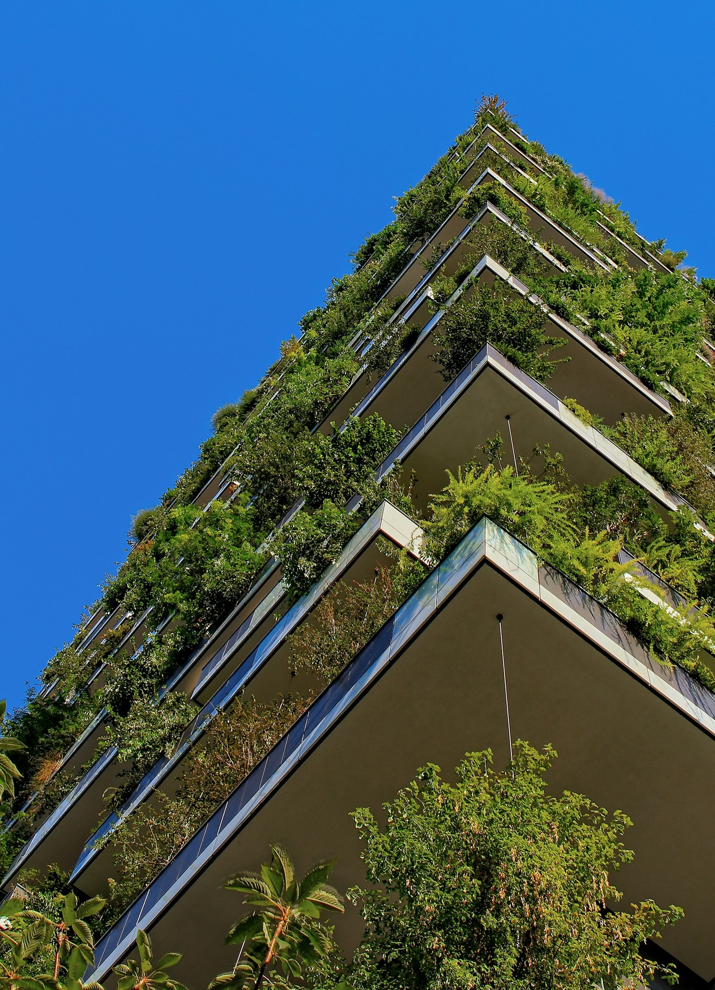 The Role of Technology in Sustainable Leadership